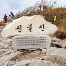 전천목장 | 백대명산 신불산 산행~ 영남 알프스 신불산에 활짝 핀 억새군락~♥