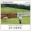 진도돈마당 | 경북 상주 동물 먹이주기부터 승마체험까지 모동목장