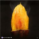 블랙라벨 고구마 추천 맛꾼푸드 프리미엄 황금 꿀고구마 엿구마 3kg 후기