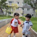 햇살자연어린이집 이미지