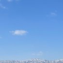수향수산본점