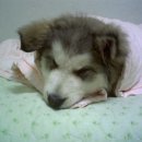 새로나슈퍼 이미지