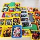 양지초병설유치원 이미지