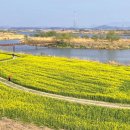 영산강둔치체육공원 이미지