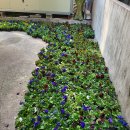 온천2동-21 이미지