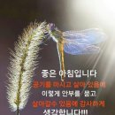 경국지색