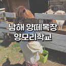 마음껏 남해 | 남해여행지추천 남해양떼목장 양모리학교 아이와 함께한 후기