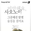 노이펫