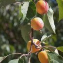 답십리한의원 이미지