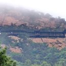 청도어물 이미지