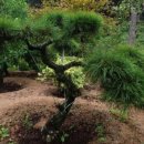 태림농원 이미지