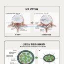 양재청우한의원 이미지
