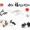 콩자 이미지