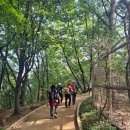 국대오리 이미지