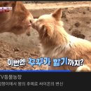 소사랑농장 이미지