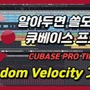 벨로시티(velocity) 이미지