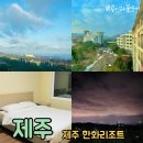 콩이네회센타 | 제주도 리조트 제주 한화리조트 바다뷰 2박3일 후기