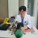 분당다원동물병원 이미지