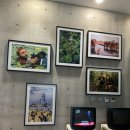 JCC미술관 | JCC 아트센터 [프란스란팅:디어포나] 사진전 후기