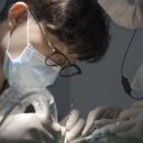 대구디지털치과기공소 이미지