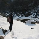 꿈꾸는유배지늡다리 이미지