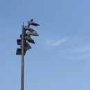 녹동테니스장 이미지