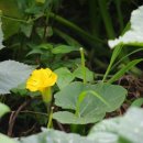 산들역사문화공원 이미지