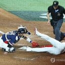 세이프 디포
