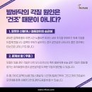 레푸스두류점