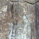 방어산 마애약사여래삼존입상 이미지