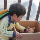 이리어린이집 이미지