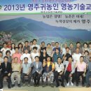 안정식육식당 이미지