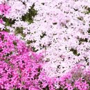 고려동유적지 이미지