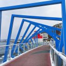 묵호항 자연산 수산물 판매시장 이미지