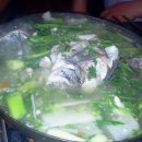 080안경원 이미지