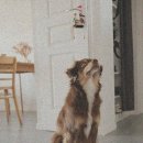 호흡과명상 이미지