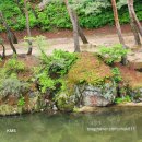 대성지성문선왕전좌도 | 영주 가 볼 만한 곳- 우리나라 최초의 사액서원, 소수서원