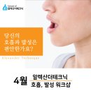 스쿨오브알렉산더테크닉