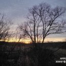 동물병원예지 | 독서후기 (2026-8) 문성실 장편소설 신비소설 무巫 1 신이 선택한 아이