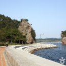 평화대여소 이미지