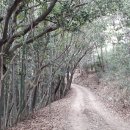 백운동 정원 이미지