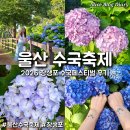 울산 수국축제 주말 데이트 2026 장생포 수국페스티벌 기간 먹거리 입장료