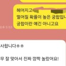 주암시장 | 과천주암 C1블록 본청약 분양가 및 일정 정리