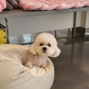 제이앤제이그루밍 이미지