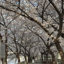 오십천로 이미지