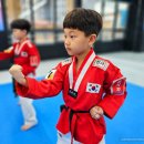 품 태권도 이미지