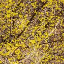 강변길입구 게이트 이미지