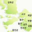 인천시 전단지 배포 "20년 경력달인 전단지의신" 인천전단지배포