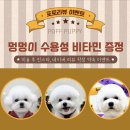 뽀프퍼피 이미지