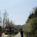 숲에서 온 유정란 | 포항 아기랑 갈만한곳 주말에 방문한 철길숲 1918포레일